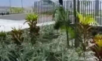 Imagem 7: Villa Marieta Casa em condomínio com 2 dormitórios