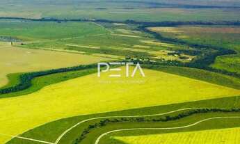 Imagem 7: Vende-se fazenda 974 hectares, a 45 km de boa vista plana, plantando soja entre outros hoj