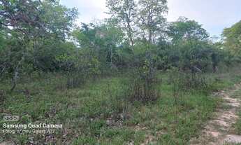 Imagem 7: ? *FAZENDA ABENÇOADA - OPORTUNIDADE ÚNICA EM CÁCERES/MT* ?