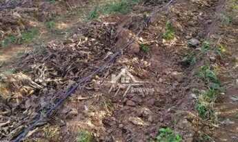 Imagem 4: Terreno à venda, 2300 m² por R$ 900.000 - Chácara Cruzeiro do Sul - Sumaré/SP