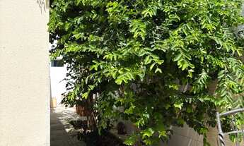 Imagem 3: Casa 3 quartos com energia