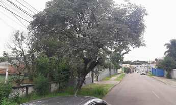 Imagem 5: Terreno no Tingui - Curitiba/PR