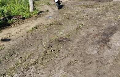 Imagem 5: Terreno com accesso ao rio e no centro do poxim 500 r$ por mes sem entrada