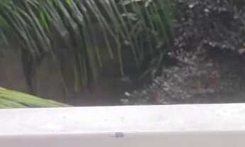 Imagem 6: Vendo ou troco 2 Casas próx ao Centro de Itaguaí