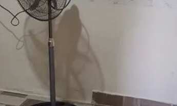 Imagem 7: Casa de veraneio em Cidreira