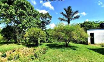 Imagem 4: Fazenda Sítio Chácara Estrada de Janauary KM 13 Ramal Boa Fé Iranduba 22.500m²