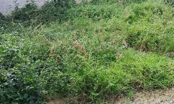 Imagem 1: Imóvel para aluguel possui 60 metros quadrados com 2 quartos em Cascadura - Rio de Janeiro