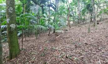 Imagem 4: Excelente terreno em Juquitiba