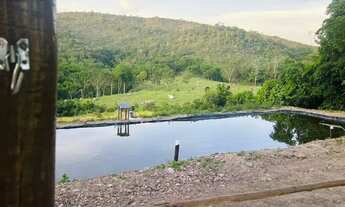 Imagem 5: Fazenda modelo em Planaltina Goias