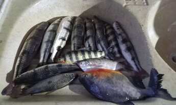 Imagem 7: Chácara de 1.300 metros quadrados m² no Serra Da Mesa a 290 quilômetros de Goiânia