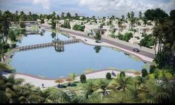 Imagem 6: Busca Vida concept 2/4