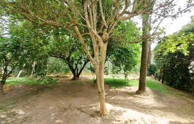 Imagem 6: Chácara à venda com 3 qaurtos no Terras de Itaici, em Indaiatuba