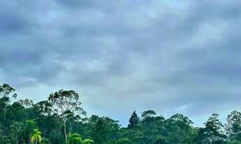 Imagem 2: Terreno próximo ao asfalto na divisa