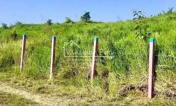 Imagem 3: Imóvel para venda possui 26000 metros quadrados em Zona Rural - Pilar - AL