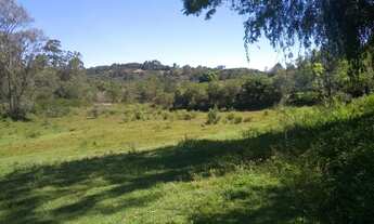 Imagem 5: Sítio frente para o asfalto Fundo com arroio em Gravataí