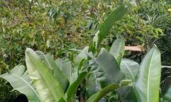 Imagem 7: Sobrado com 3 dormitórios à venda, 180 m² por R$ 500.000 - Jardim Mauá - Mauá/SP