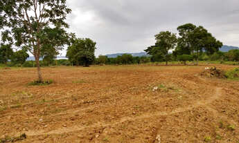 Imagem 6: Goias-GO Município Nova Roma Vendo Fazenda