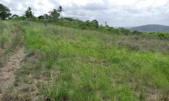 Imagem 4: Vitória Sítio 3 Ha Com Muitas FruteiraS - Vl 90 Mil