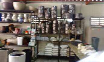 Imagem 6: Loja comercial floricultura para aluguel e venda tem 4000 metros quadrados