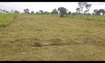 Imagem: Lote na represa de abaete