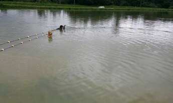 Imagem 6: Itacoatiara - Fazenda - Araújo Costa
