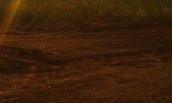 Imagem 5: Lotes em Mairiporã!