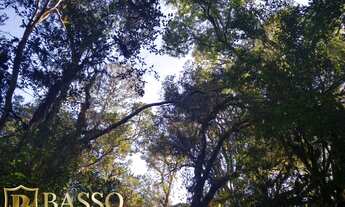 Imagem 6: Chácara para venda com 20000 metros quadrados em Criúva - Caxias do Sul - RS