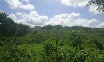 Imagem 2: Fazenda com 137 hectares a um km centro de São Pedro do Potengi