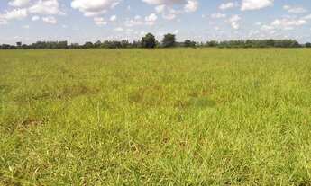 Imagem 7: Fazenda/Sítio/Chácara para venda tem 130000 metros quadrados