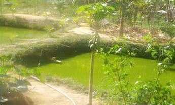 Imagem 5: Lindo Sítio em Viana