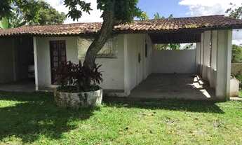 Imagem 3: Granja em Camaragibe