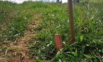 Imagem: Terrenos para venda tem 600 metros quadrados