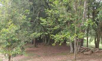 Imagem 7: TAQUARA - RESIDENCIAL - Fazenda Fialho