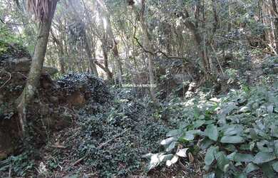 Imagem 3: FLORIANóPOLIS - Terreno Padrão - Barra da Lagoa