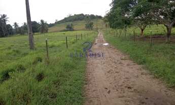 Imagem 3: Fazenda, Centro, São Sebastião do Passe - R$ 4.9 mi, Cod: 68602