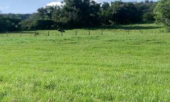 Imagem 2: Excelente oportunidade em Gravatai