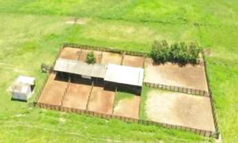 Imagem 5: Fazenda à venda, 10830 hectares por R$ 200.000.000 - Zona Rural - Canarana/MT