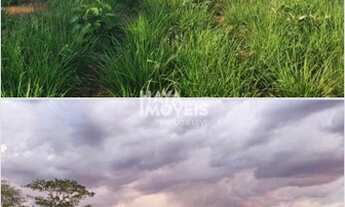 Imagem 7: Fazenda à venda, Rural, Figueirão, MS