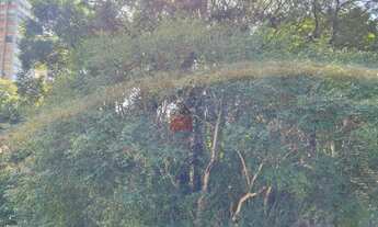 Imagem 2: Sobrado à venda, Santo Amaro, São Paulo, SP