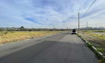 Imagem: TERRENO COMERCIAL/INDUSTRIAL BR101 LOCALIZADO