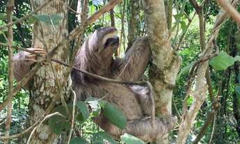 Imagem 4: Mairiporã com terrenos a venda