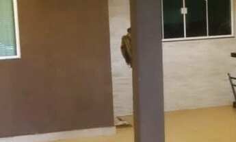 Imagem 1: QNO 4 setor O linda casa ágio da CAIXA