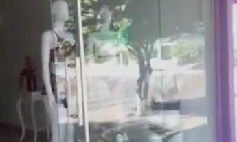 Imagem 3: VENDO OTIMO PONTO COMERCIAL COM CASA DE 2 PISO EM GUARANTÃ