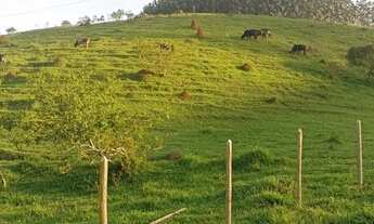 Imagem 2: Sitio no bairro Mangaló