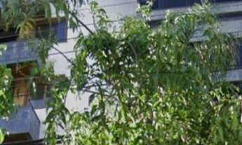 Imagem: Cobertura com 4 dormitórios e 4 vagas de