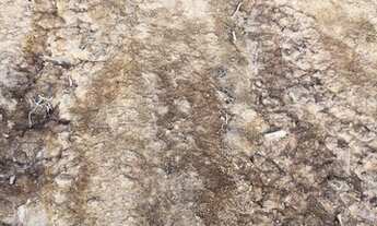 Imagem 5: Sb- lote a venda de 600m²