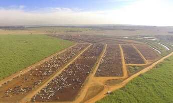 Imagem 2: ET - Rural Investimento - Compra de Fazenda - Milho Gado Soja Trigo