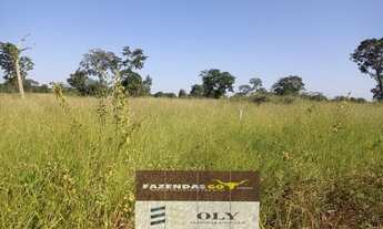 Imagem 2: Fazenda Extra! na Beira do Rio Araguaia ! 83 Alqueires !