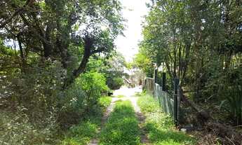 Imagem 5: FLORIANóPOLIS - Terreno Padrão - Ribeirão da Ilha