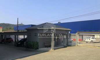 Imagem 6: Joinville - Apartamento Padrão - Bom Retiro